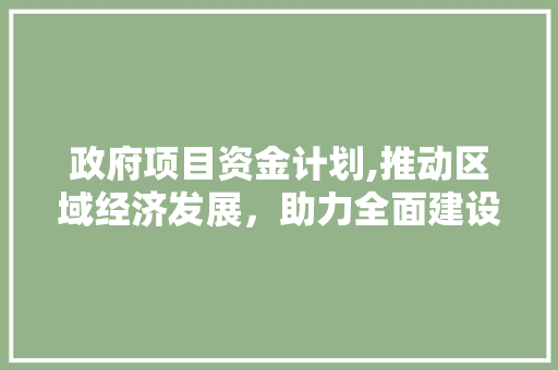 政府项目资金计划,推动区域经济发展，助力全面建设社会主义现代化国家