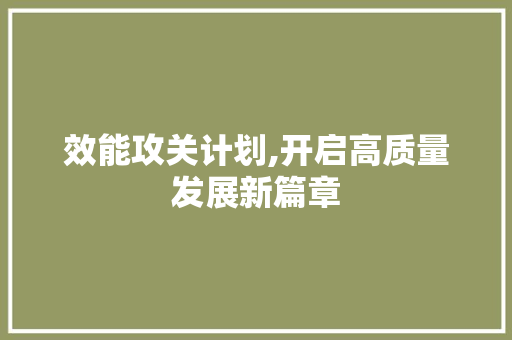 效能攻关计划,开启高质量发展新篇章