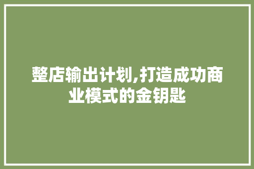 整店输出计划,打造成功商业模式的金钥匙