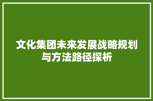 文化集团未来发展战略规划与方法路径探析