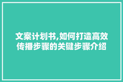 文案计划书,如何打造高效传播步骤的关键步骤介绍