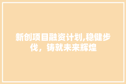 新创项目融资计划,稳健步伐，铸就未来辉煌