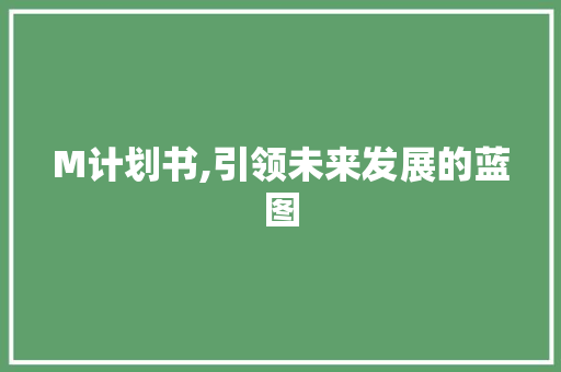 M计划书,引领未来发展的蓝图