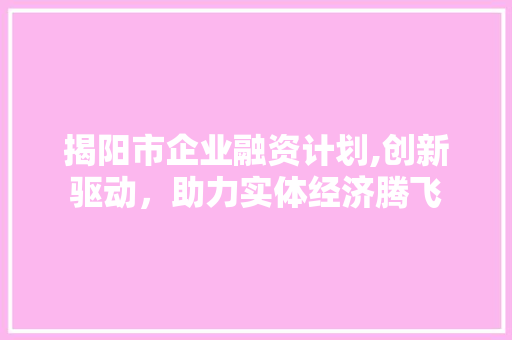 揭阳市企业融资计划,创新驱动，助力实体经济腾飞