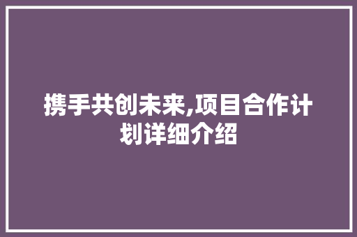 携手共创未来,项目合作计划详细介绍