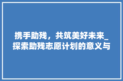 携手助残，共筑美好未来_探索助残志愿计划的意义与价值