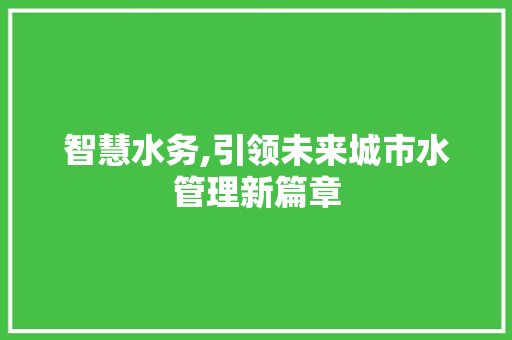 智慧水务,引领未来城市水管理新篇章