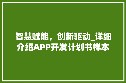 智慧赋能，创新驱动_详细介绍APP开发计划书样本