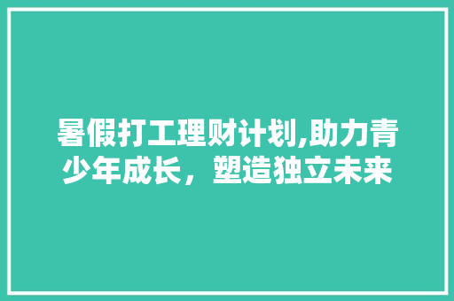 暑假打工理财计划,助力青少年成长，塑造独立未来