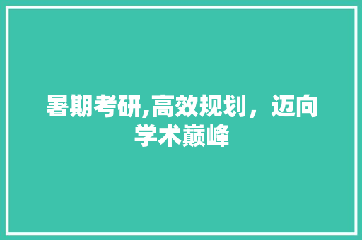 暑期考研,高效规划，迈向学术巅峰
