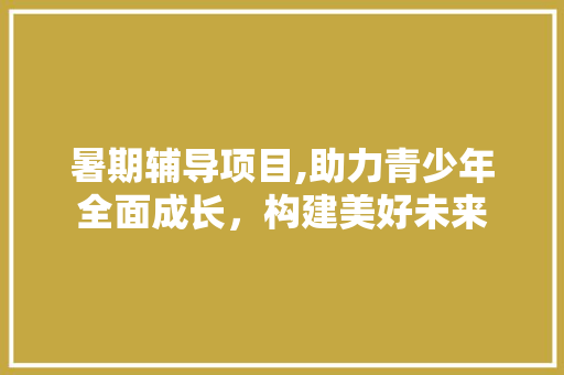 暑期辅导项目,助力青少年全面成长，构建美好未来