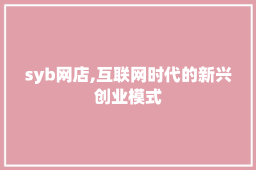 syb网店,互联网时代的新兴创业模式