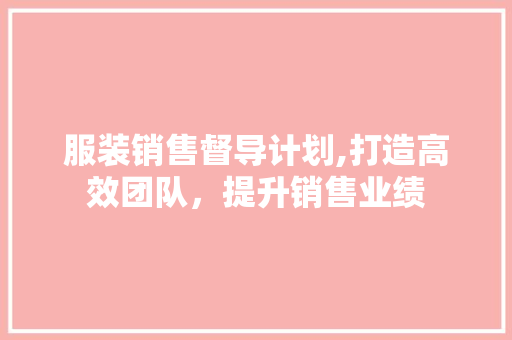 服装销售督导计划,打造高效团队，提升销售业绩 工作报告
