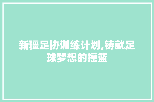 新疆足协训练计划,铸就足球梦想的摇篮