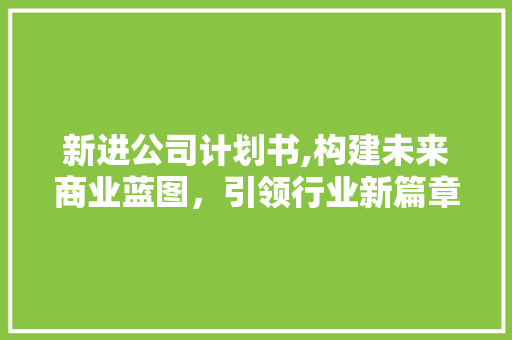 新进公司计划书,构建未来商业蓝图，引领行业新篇章