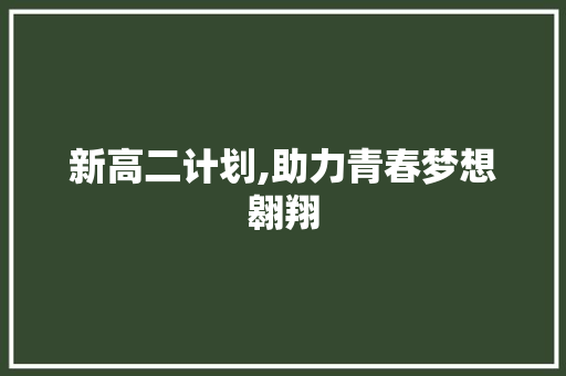 新高二计划,助力青春梦想翱翔