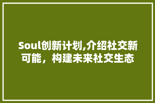 Soul创新计划,介绍社交新可能，构建未来社交生态