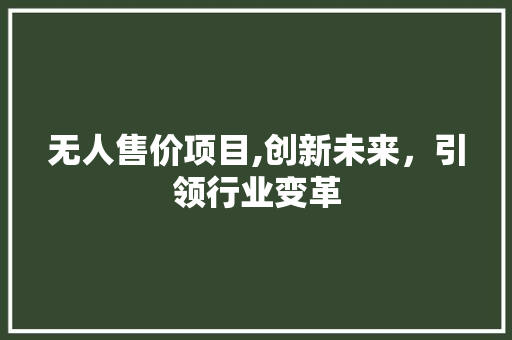 无人售价项目,创新未来，引领行业变革