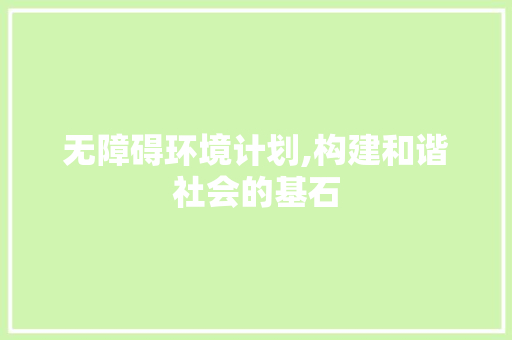 无障碍环境计划,构建和谐社会的基石