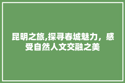 昆明之旅,探寻春城魅力，感受自然人文交融之美