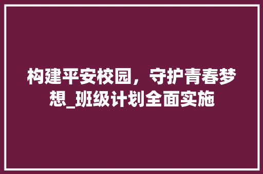 构建平安校园，守护青春梦想_班级计划全面实施