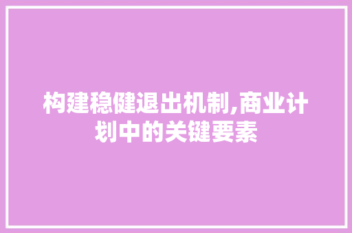 构建稳健退出机制,商业计划中的关键要素