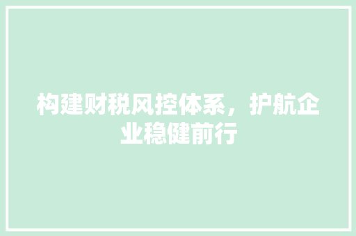 构建财税风控体系，护航企业稳健前行