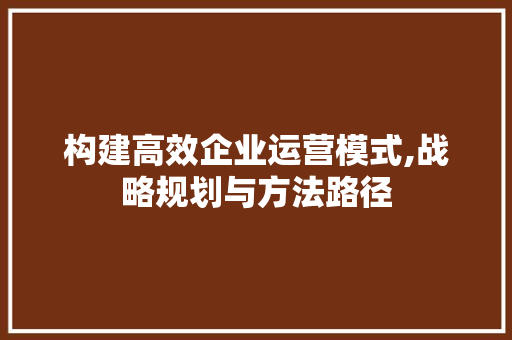 构建高效企业运营模式,战略规划与方法路径