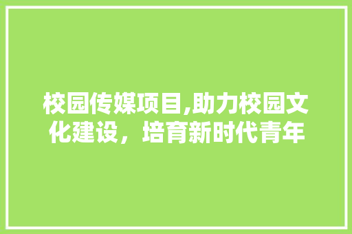 校园传媒项目,助力校园文化建设，培育新时代青年