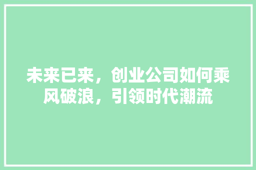 未来已来，创业公司如何乘风破浪，引领时代潮流