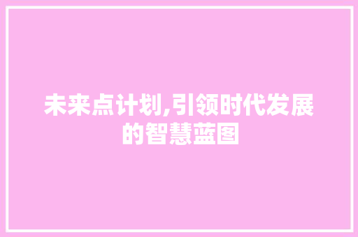 未来点计划,引领时代发展的智慧蓝图