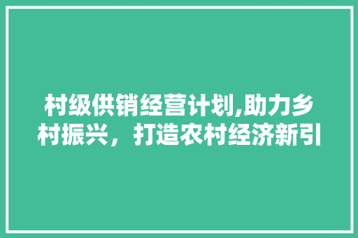 村级供销经营计划,助力乡村振兴，打造农村经济新引擎