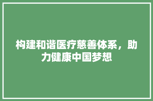 构建和谐医疗慈善体系，助力健康中国梦想