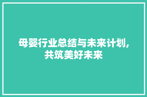母婴行业总结与未来计划,共筑美好未来