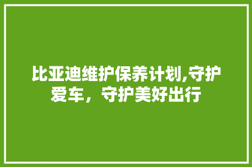 比亚迪维护保养计划,守护爱车，守护美好出行