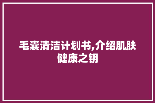 毛囊清洁计划书,介绍肌肤健康之钥