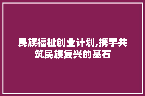 民族福祉创业计划,携手共筑民族复兴的基石