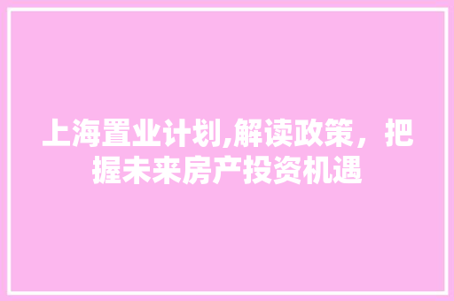 上海置业计划,解读政策，把握未来房产投资机遇