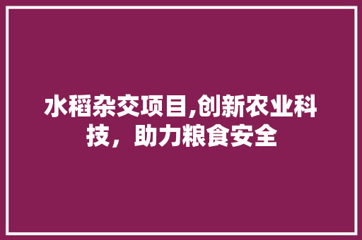 水稻杂交项目,创新农业科技，助力粮食安全