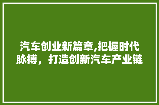 汽车创业新篇章,把握时代脉搏，打造创新汽车产业链