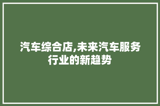 汽车综合店,未来汽车服务行业的新趋势