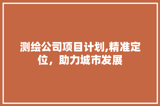 测绘公司项目计划,精准定位，助力城市发展