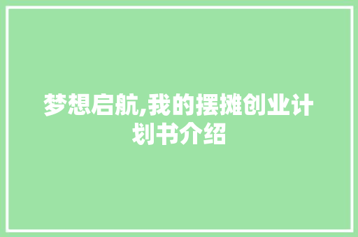 梦想启航,我的摆摊创业计划书介绍