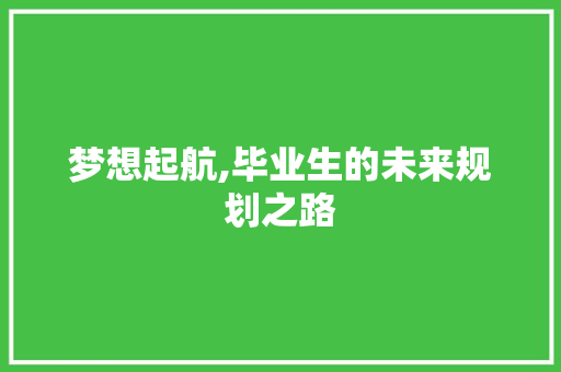 梦想起航,毕业生的未来规划之路