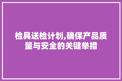 检具送检计划,确保产品质量与安全的关键举措