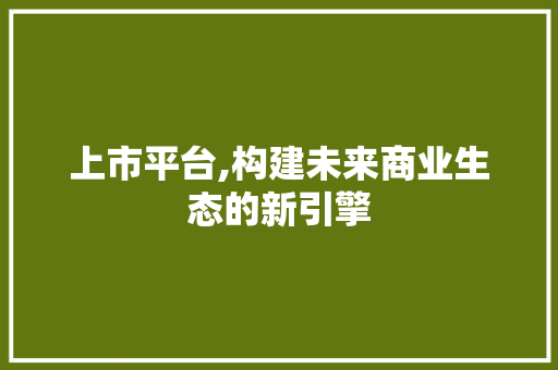 上市平台,构建未来商业生态的新引擎