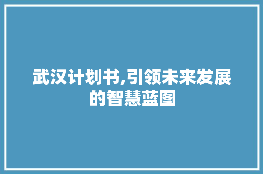 武汉计划书,引领未来发展的智慧蓝图