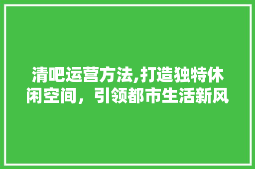 清吧运营方法,打造独特休闲空间，引领都市生活新风尚