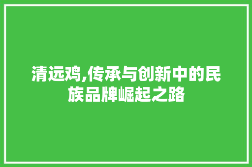 清远鸡,传承与创新中的民族品牌崛起之路
