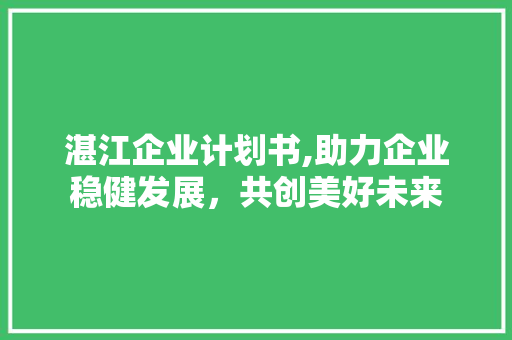 湛江企业计划书,助力企业稳健发展，共创美好未来